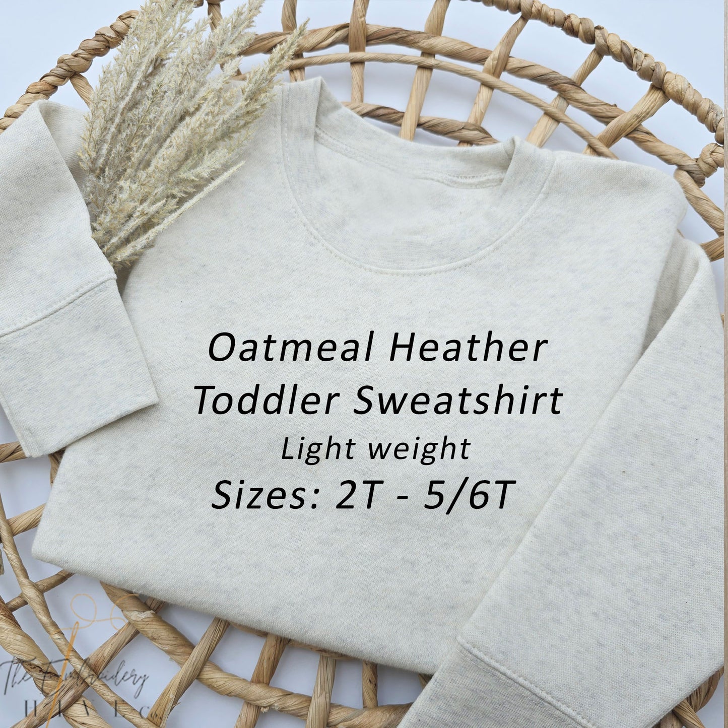 Embroidered BIG Sister Youth and Toddler Sweatshirt, sibling apparel S28