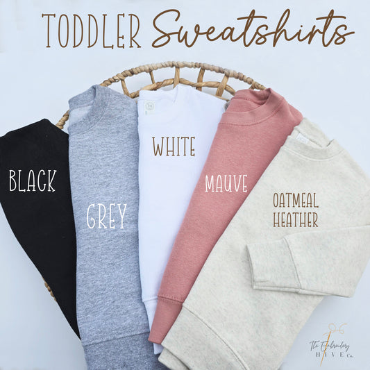 Embroidered BIG Cousin Youth and Toddler Sweatshirt S12