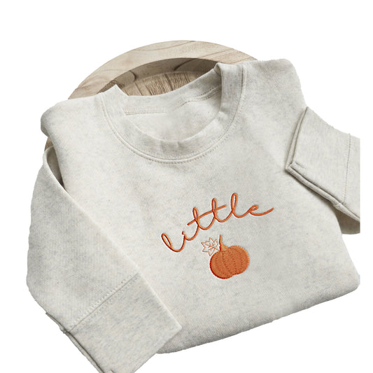 Embroidered Little Pumpkin Toddler Sweatshirt Youth Sweatshirt Kids Sweater Fall Sweatshirt A25