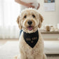 Big Bro Dog Bandana Embroidered Bandana BIB 2