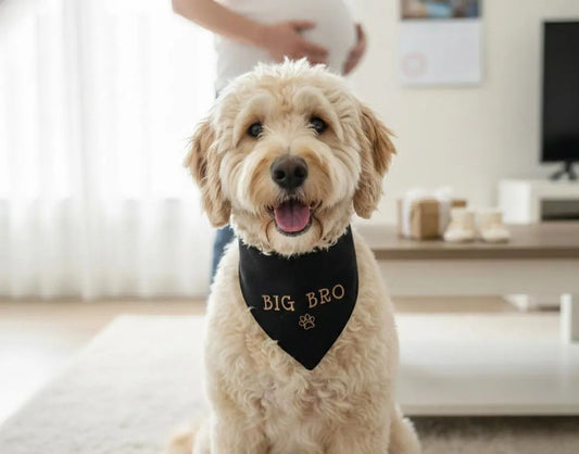 Big Bro Dog Bandana Embroidered Bandana BIB 2