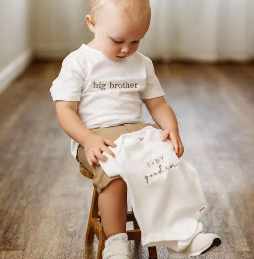 Embroidered Big Brother Toddler and Youth T-shirt, sibling apparel 824