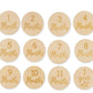 Milestones Blanket Neutral photoprops Milestones Wooden Signs 1 Month through 1 Year Baby Neutral