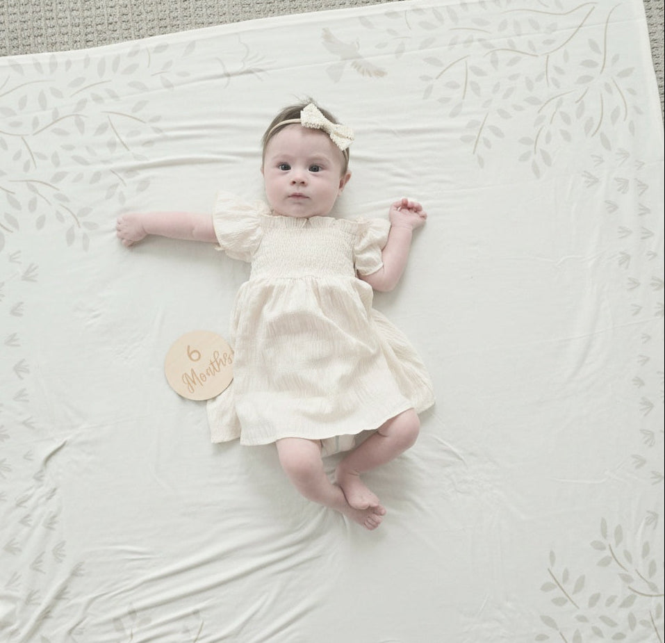 Milestones Blanket Neutral photoprops Milestones Wooden Signs 1 Month through 1 Year Baby Neutral